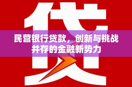 安康民营银行贷款，创新与挑战并存的金融新势力