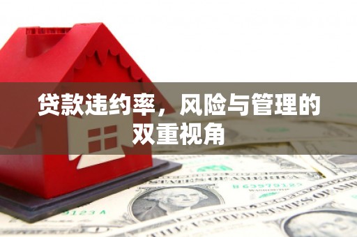 阜康贷款违约率，风险与管理的双重视角