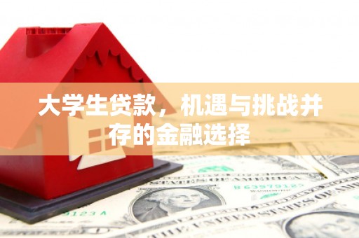 盐田大学生贷款，机遇与挑战并存的金融选择