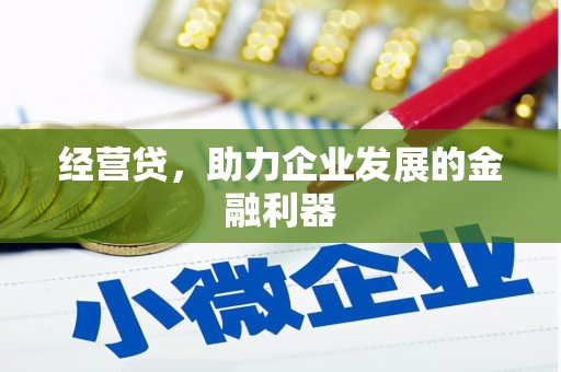 巧家经营贷，助力企业发展的金融利器