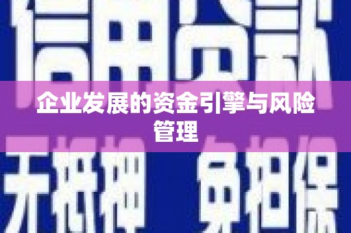 华阴企业发展的资金引擎与风险管理