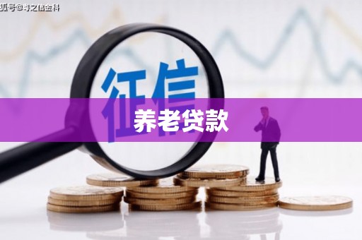 宛城养老贷款