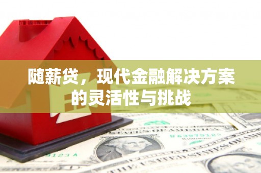 观音随薪贷，现代金融解决方案的灵活性与挑战
