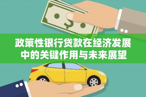 莱城政策性银行贷款在经济发展中的关键作用与未来展望