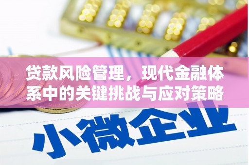 上饶贷款风险管理，现代金融体系中的关键挑战与应对策略
