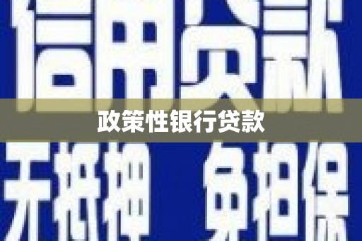 黄平政策性银行贷款