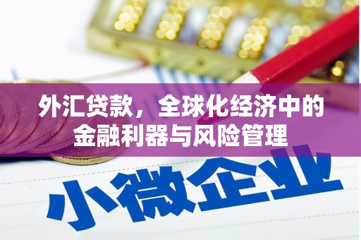 滁州外汇贷款，全球化经济中的金融利器与风险管理