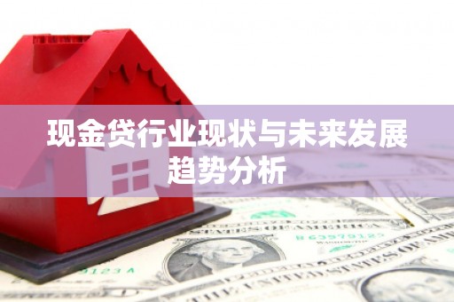 岭东现金贷行业现状与未来发展趋势分析