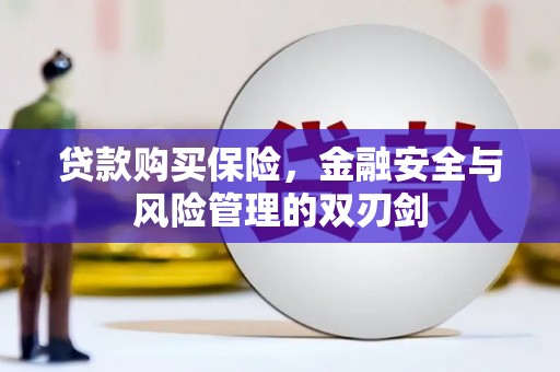 海东贷款购买保险，金融安全与风险管理的双刃剑