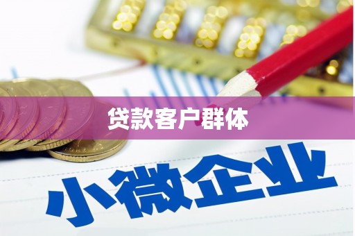 宁夏贷款客户群体