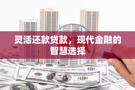 肥乡灵活还款贷款，现代金融的智慧选择
