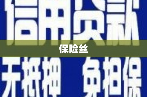 邯郸保险丝