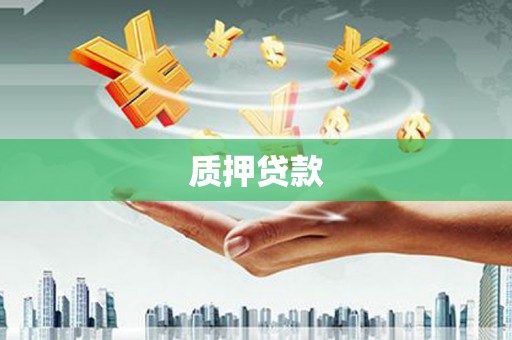 通河质押贷款
