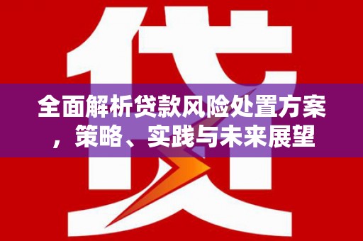 芬园全面解析贷款风险处置方案，策略、实践与未来展望
