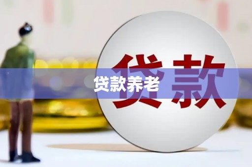 学甲贷款养老