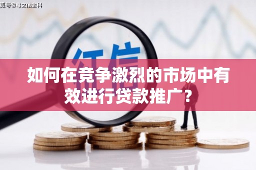 士林如何在竞争激烈的市场中有效进行贷款推广？