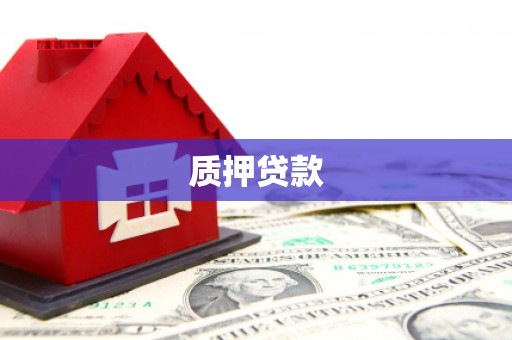 武陵质押贷款