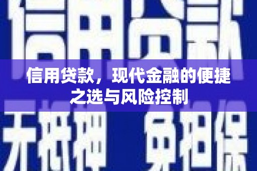 岱岳信用贷款，现代金融的便捷之选与风险控制
