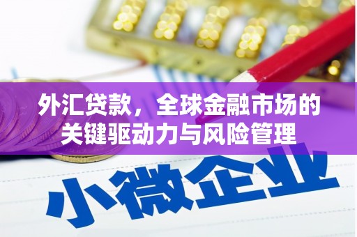 南宫外汇贷款，全球金融市场的关键驱动力与风险管理