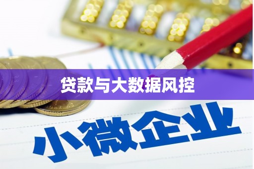 茂南贷款与大数据风控