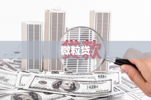 绥阳微粒贷