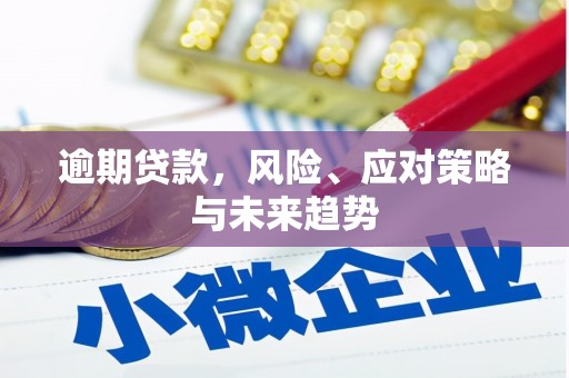 汶川逾期贷款，风险、应对策略与未来趋势