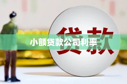 仁寿小额贷款公司利率