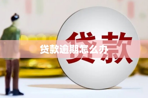会同贷款逾期怎么办