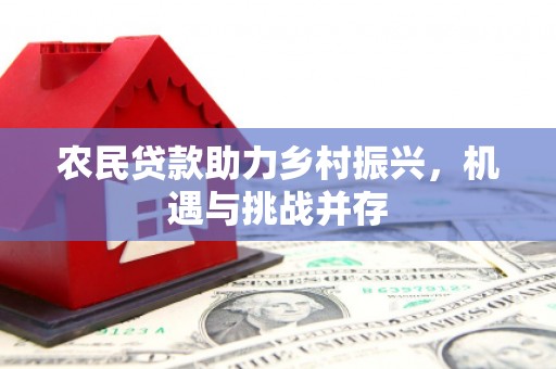 龙文农民贷款助力乡村振兴，机遇与挑战并存