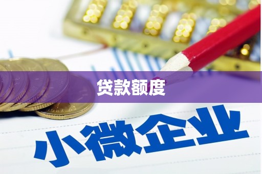 岳阳楼贷款额度