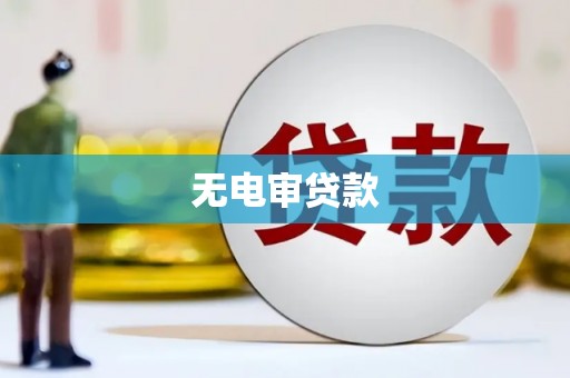 志丹无电审贷款