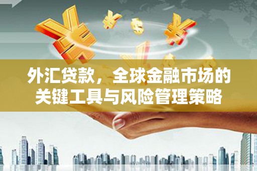 屯溪外汇贷款，全球金融市场的关键工具与风险管理策略