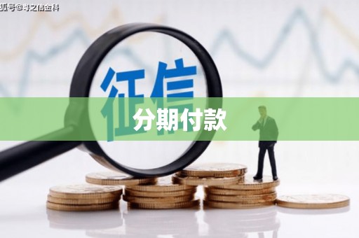 海东分期付款