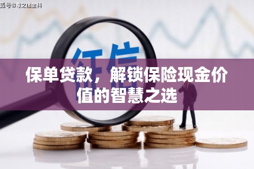 泸水保单贷款，解锁保险现金价值的智慧之选