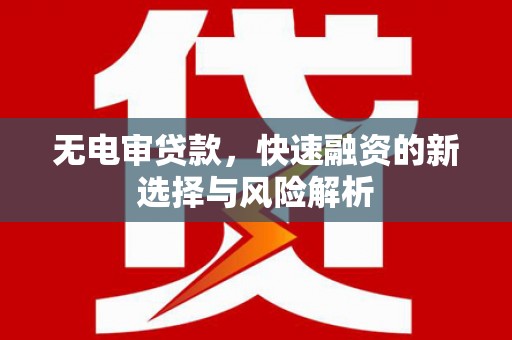 芦淞无电审贷款，快速融资的新选择与风险解析