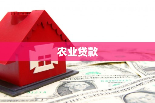 湾仔区农业贷款