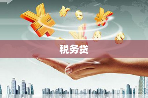 志丹税务贷