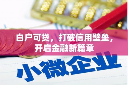 平安白户可贷，打破信用壁垒，开启金融新篇章