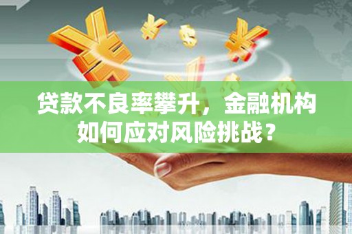 和静贷款不良率攀升，金融机构如何应对风险挑战？