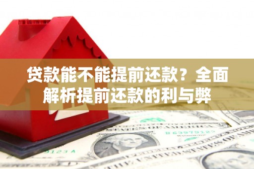 阳谷贷款能不能提前还款？全面解析提前还款的利与弊