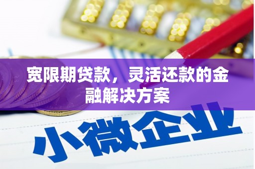 武进宽限期贷款，灵活还款的金融解决方案