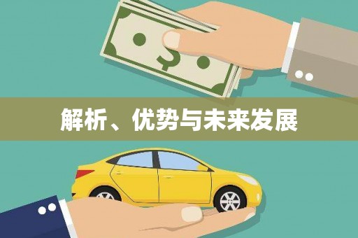 泰安解析、优势与未来发展