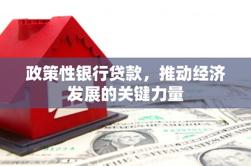 柳州政策性银行贷款，推动经济发展的关键力量
