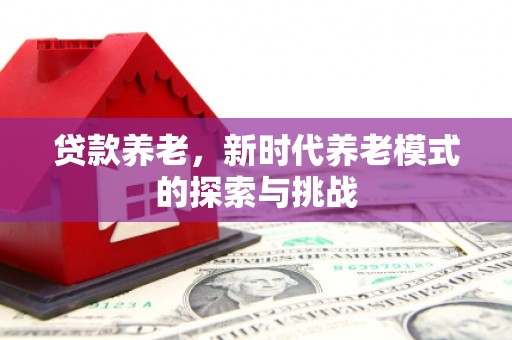 槐荫贷款养老，新时代养老模式的探索与挑战