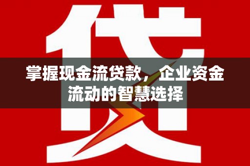 弥勒掌握现金流贷款，企业资金流动的智慧选择