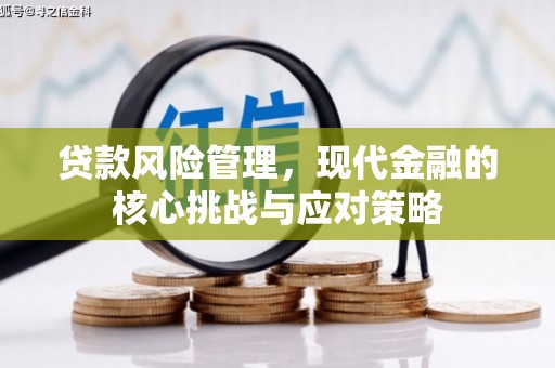 米东贷款风险管理，现代金融的核心挑战与应对策略