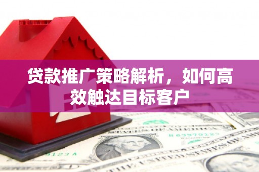 颍东贷款推广策略解析，如何高效触达目标客户