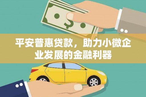 蒲江平安普惠贷款，助力小微企业发展的金融利器