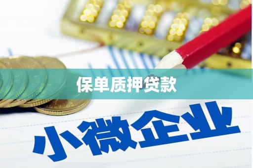 关岭保单质押贷款
