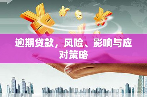 利通逾期贷款，风险、影响与应对策略